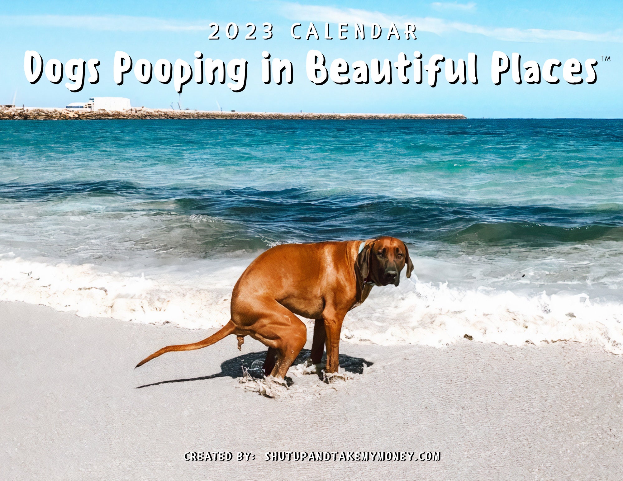 Dogs Pooping In Beautiful Places 2023 Calendar Funny Wall Etsy Australia