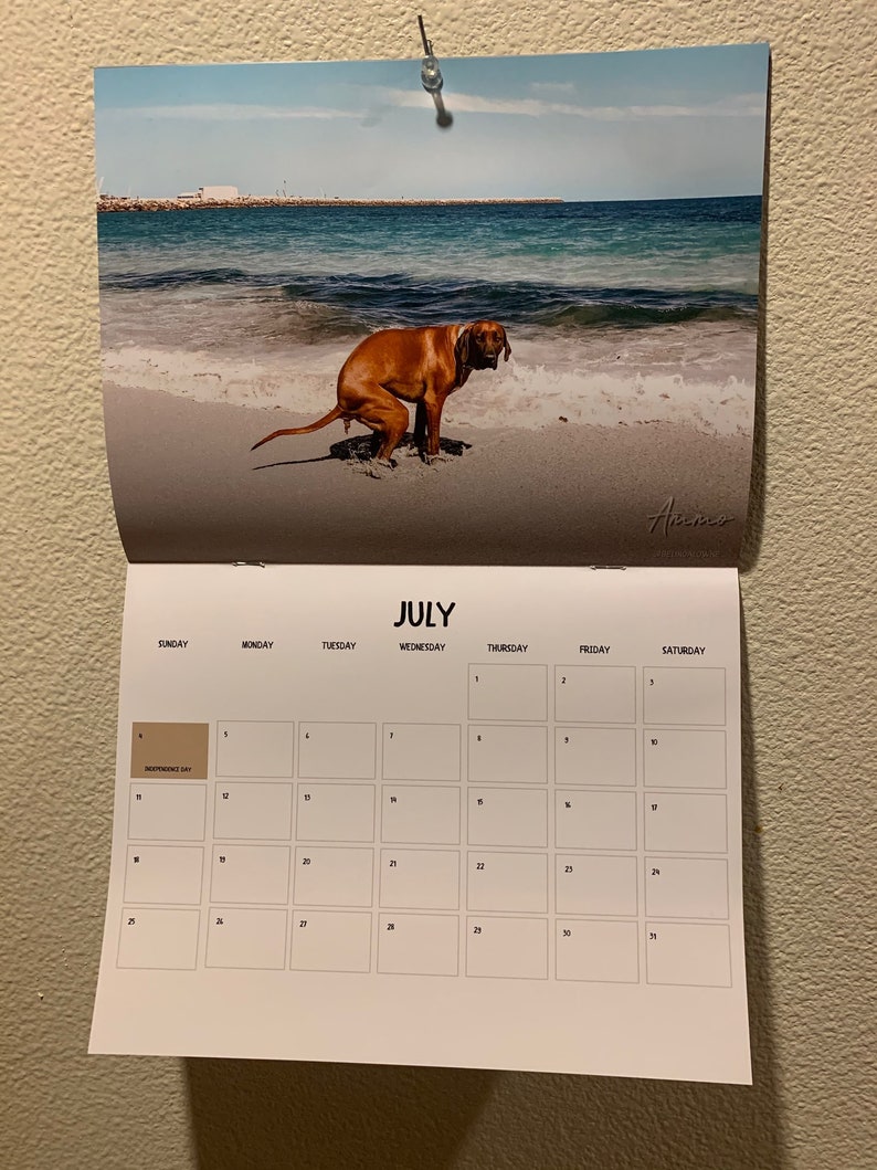 Dogs Pooping In Beautiful Places 2021 Calendar Funny Gag Etsy