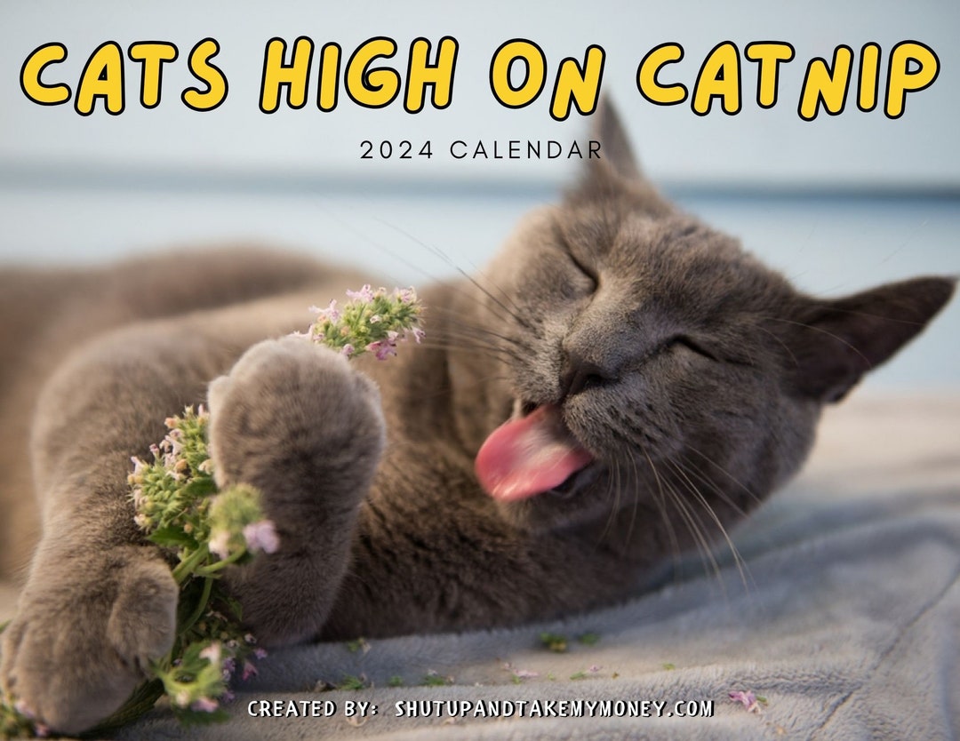 Cats High on Catnip 2024 Calendar preorder Funny Wall Art Etsy UK