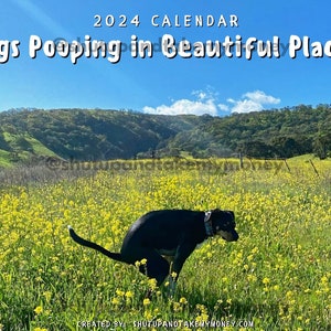 Dogs Pooping in Beautiful Places™ 2024 Calendar - Funny Wall Art Christmas Holiday Gag Gift Prank Item