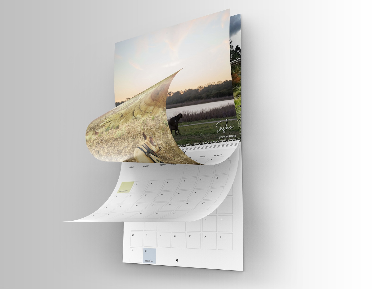 dogs-pooping-in-beautiful-places-2022-calendar-funny-etsy-uk