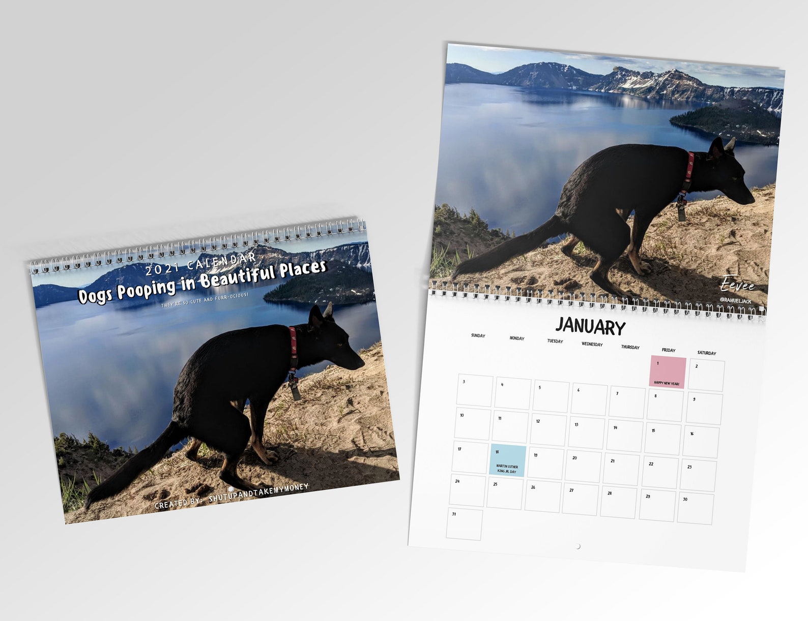Dogs Pooping In Beautiful Places 2022 Calendar Funny Etsy UK