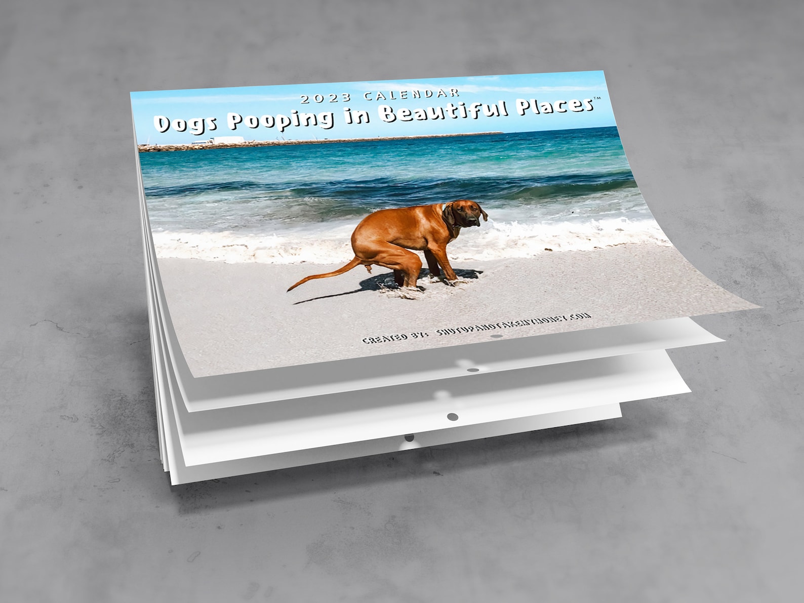 Dogs Pooping In Beautiful Places 2023 Calendar Funny Wall Etsy Australia funny-gift-ideas-christmas-gag-gift-ideas-for-everyone-gag-gifts