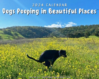 Dogs Pooping in Beautiful Places™ 2024 Calendar (Pre-Order) - Funny Wall Art Christmas Holiday Gag Gift Prank Item