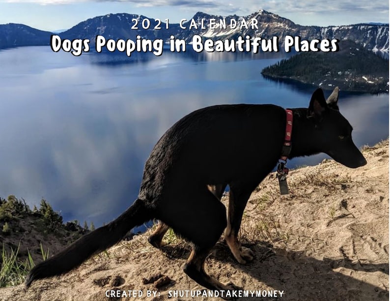 Dogs Pooping In Beautiful Places 2021 Calendar Funny Gag Etsy