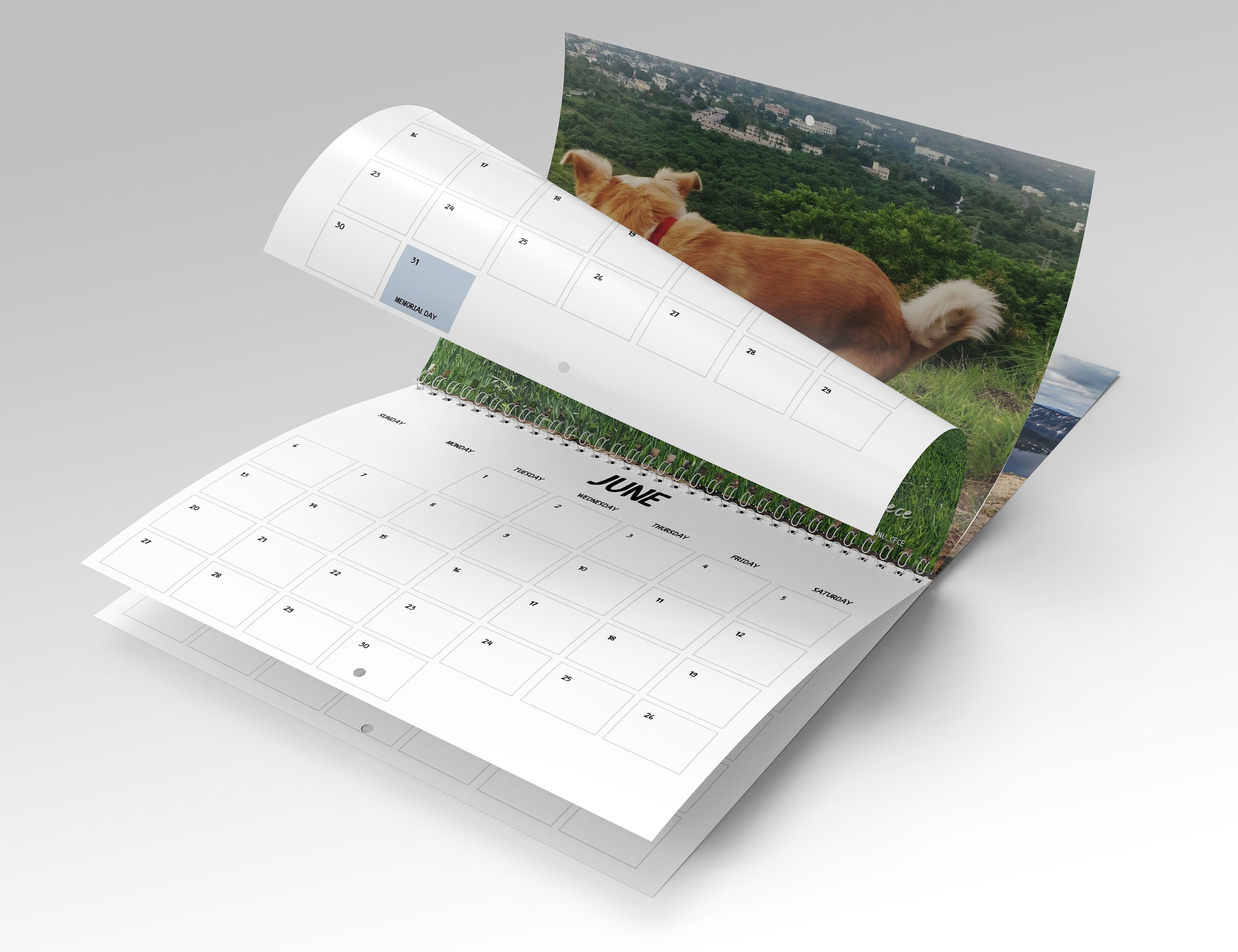 Dogs Pooping In Beautiful Places 2022 Calendar Funny Etsy UK
