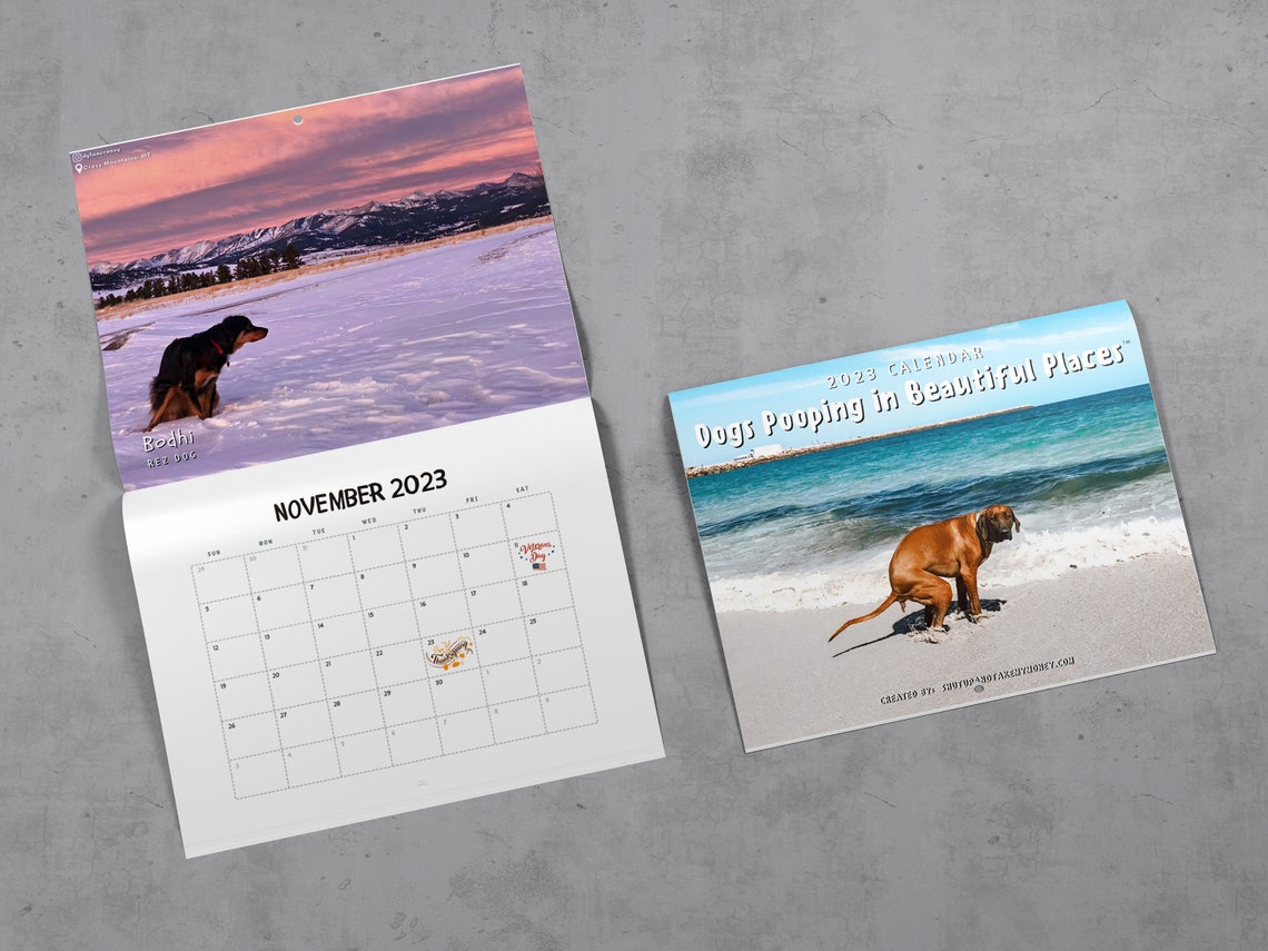 dogs-pooping-in-beautiful-places-2023-calendar-funny-wall-etsy-australia
