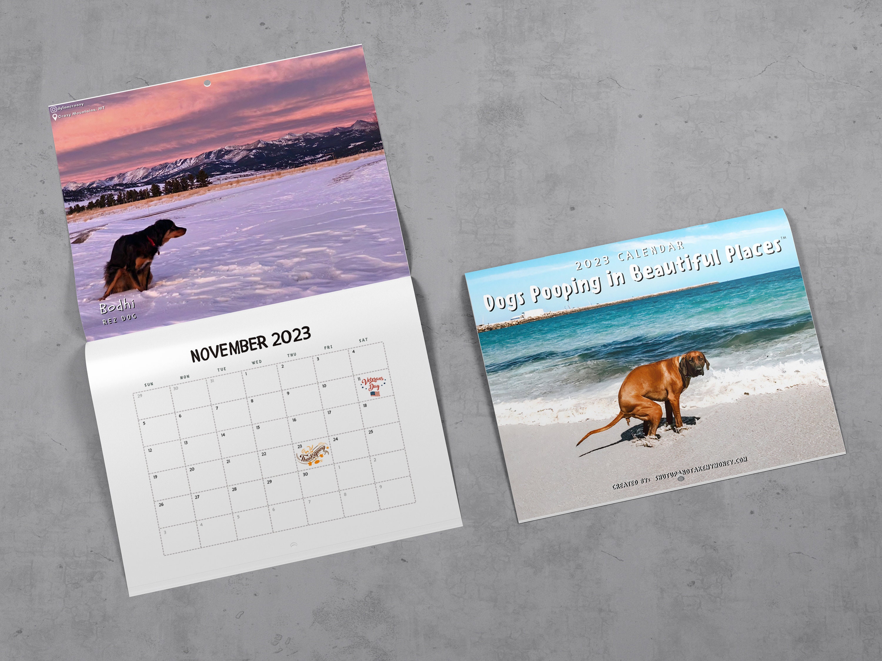 dogs-pooping-in-beautiful-places-2023-calendar-funny-wall-etsy