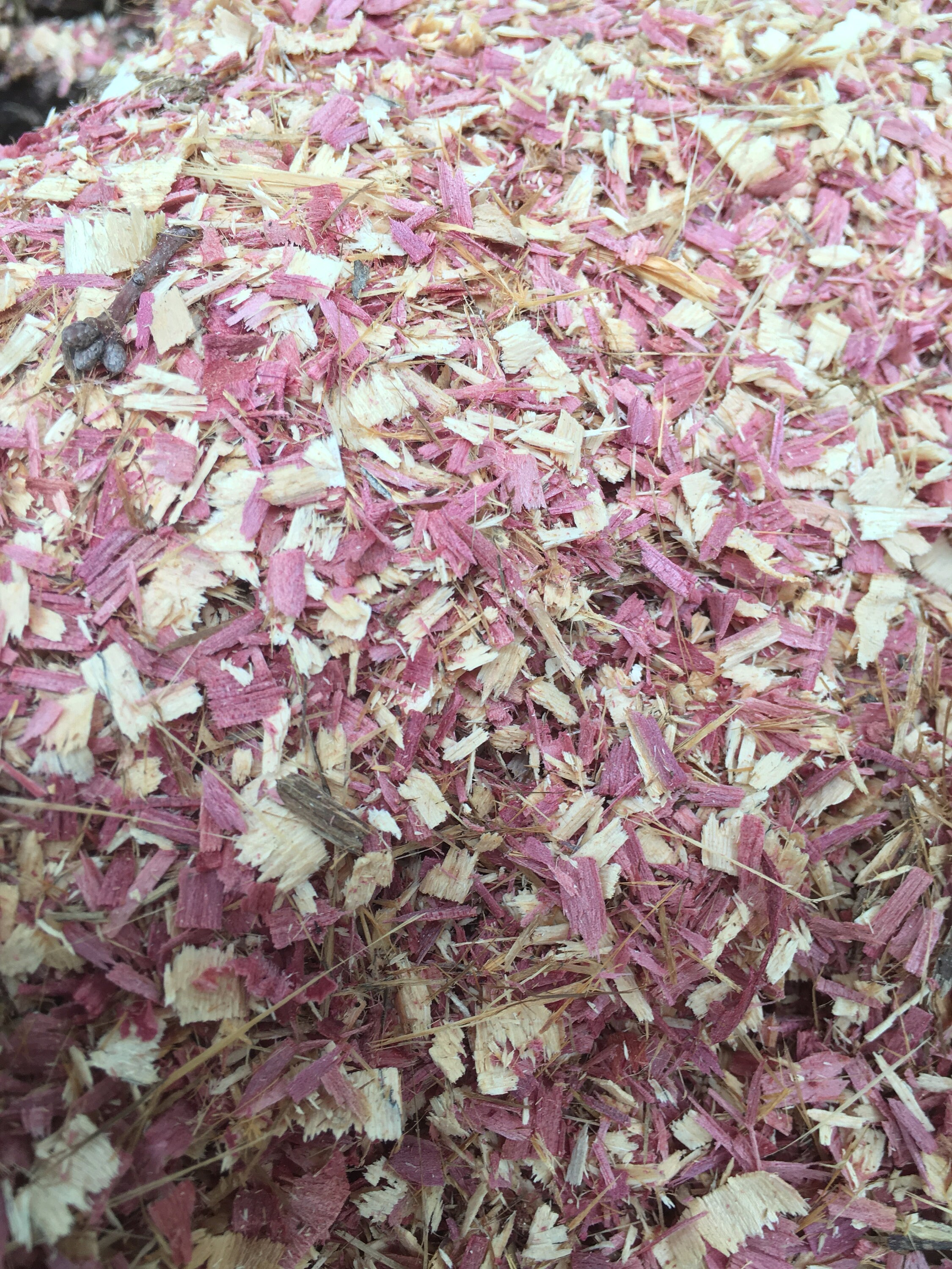 Cedar Wood Shavings Etsy