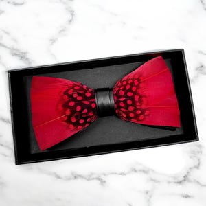 May include: A red feather bow tie with black polka dots and a black leather strap. The bow tie is in a black box.