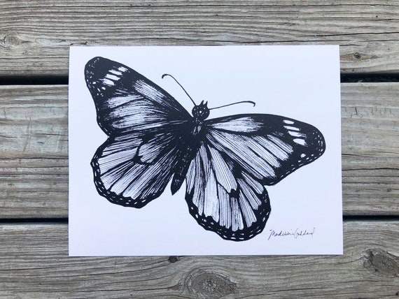 Original Realism Butterfly Drawing by Elite Art-saigonsouth.com.vn