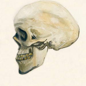 Skull Art Print, Skull Art, Skull Still-Life, Skull Poster, Skull Print, Skull Oil Painting, Skull Painting, Human Skull Art Print, 9 x 12