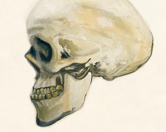 Czaszka Art Print, Sztuka Czaszki, Czaszka Martwa Natura, Plakat Czaszki, Czaszka Print, Czaszka Malarstwo Olejne, Czaszka Malarstwo, Czaszka Art Print, 9 x 12