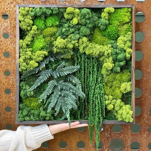 May include: A square wooden framed wall art piece filled with various shades of green moss and plants. The artwork features a mix of textures and shapes, creating a natural, textured appearance. The frame is a dark brown color.