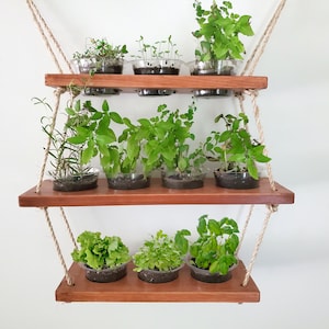 Rustic Hanging Shelf Planter for Herbs and Succulents / Wood and Rope Hanging Herbs
