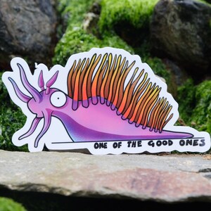 May include: A sticker of a cartoon sea slug with a pink and purple body and orange and yellow spines. The sticker has the text "One of the good ones" printed on it.