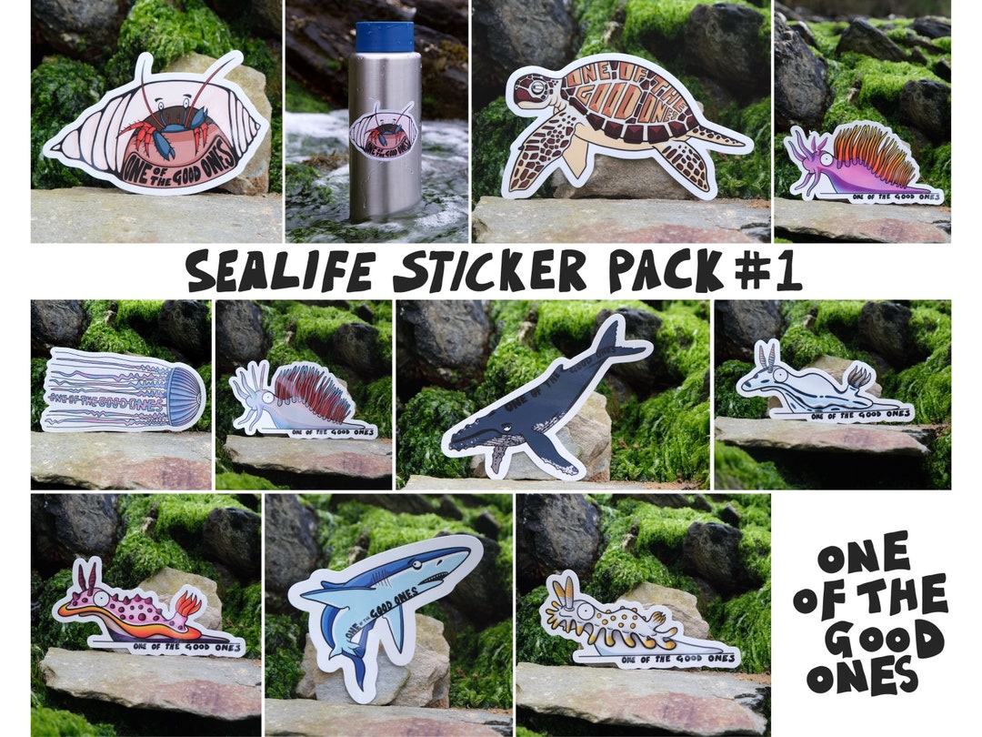 Sealife Sticker Set #1 | Biodegradable and Compostable Stickers | Cute ...