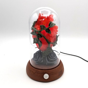 Motion Sensing LED Pulsing & Beating Heart