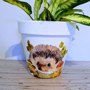 May include: White ceramic planter featuring a painted design of a hedgehog surrounded by leaves and mushrooms. A green plant with variegated leaves is growing in the planter.