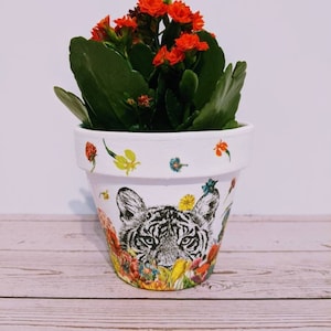 May include: A white ceramic planter featuring a tiger face design and colourful floral accents. The planter is filled with a green succulent plant with bright orange flowers.