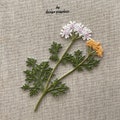 Wild Flower Patch, Flower Patch, Flower  Iron-on Patch, Flower Iron-On Badge, Flower  Embroidered product logo