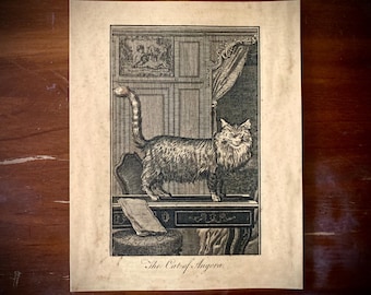 Cat of Angora - Universal Magazine 1769 Facsimile 8x10 Poster