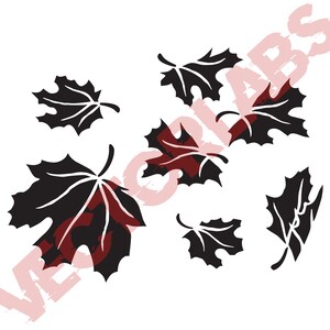 May include: Black silhouette of maple leaves falling against a white background. The leaves are in various positions, some are facing up, some are facing down, and some are in between.