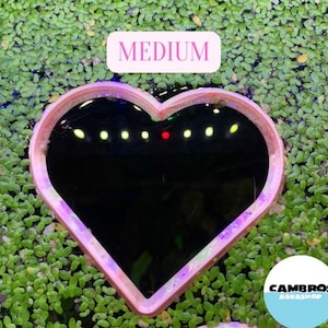 May include: A pink heart-shaped aquarium decoration, labeled "MEDIUM", is surrounded by green aquatic plants. The decoration is made of a translucent material with a glittery finish.