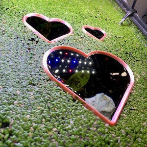 Può includere: Tre ritagli a forma di cuore rosa su una superficie verde di muschio. I ritagli sono pieni d'acqua, che riflette la luce dall'alto.