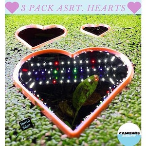 Può includere: Tre contenitori di plastica a forma di cuore di colore arancione per piante acquatiche. I contenitori sono pieni d'acqua e riflettono la luce dall'alto. Il testo "3 PACK ASRT. HEARTS" è visibile nella parte superiore dell'immagine.