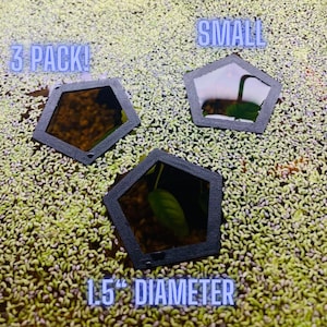 3 Pack **SMALL** Pentagon Floating Fish Feeder, Food separator, Custom designs, Plant ring, Aquarium tool **NEW!!**