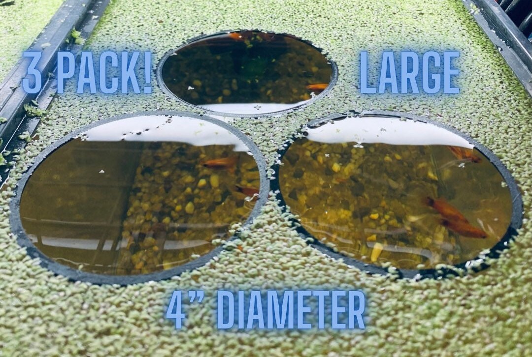 3 Pack LARGE Circular Floating Fish Feeder, Food Separator, Custom