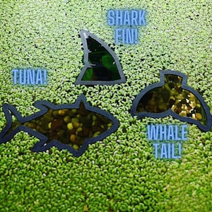 3 Pack Floating Fish Feeder, Food separator, Custom designs, Plant ring, Aquarium tool **NEW!!**