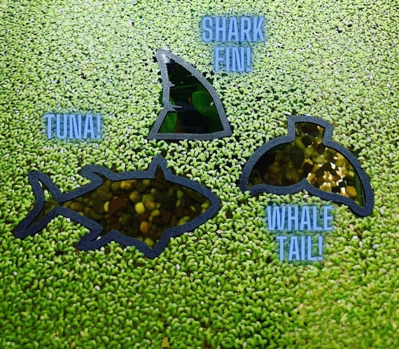 Eva Foam Plant Barriers 10-Piece Floating Aquarium Plant Corrals - EVA Foam Feeding Rings For Betta & Goldfish Tanks Floating Plant Corral For Fish Tank