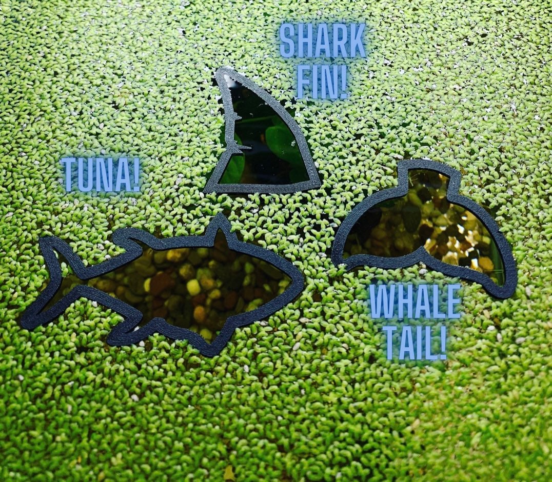 Fish Ring Feeder, Plastic Aquarium Floating Feeding Ring Convenient Food Prevention With Strong Suction Cup For Feeding Flake Foods Blue Black
