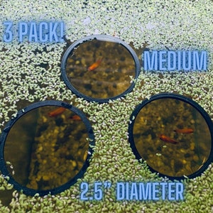 3 Pack **MEDIUM** Circular Floating Fish Feeder, Food separator, Custom designs, Plant ring, Aquarium tool **NEW!!** Active