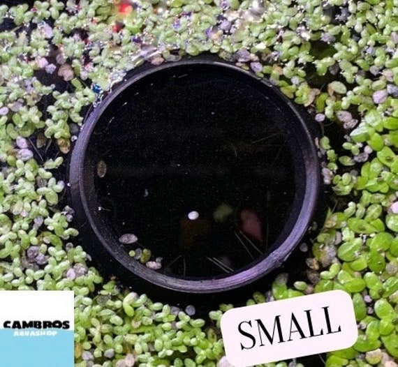 Floating Flora Fish Barrier, 2025 Floating Island Planter Protector Ponds Plant Protector Fine Mesh Floating Flora Pond Corral Black Round Floating Pl