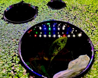 Comedero flotante circular para peces, separador de alimentos, portal, corral, anillo para plantas, herramienta para acuario **Diseño personalizado**