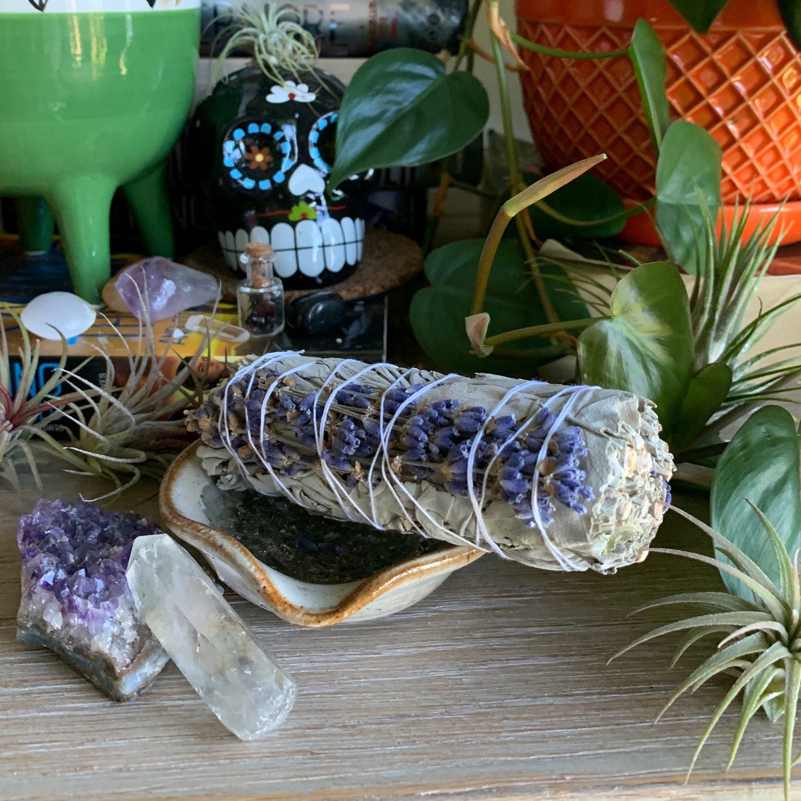 Rainbow Sage & Lavender Sage Etsy
