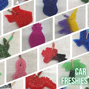 Car Air Fresheners FRESHIE {Choose Shape | Color | Scent} FULL CUSTOMIZATION Cactus Cowboy Palm Tree Pineapple Badge Jeep Alamo Big Gal Army