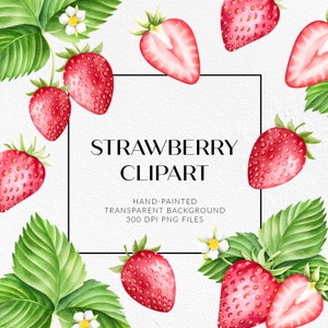 Strawberry PNG. Berries with leaves and flower clipart. Cute strawberry clipart. Hand-painted watercolor clipart. Digital download, PNG.