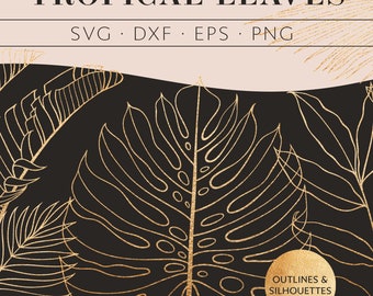 Foglie tropicali sagoma SVG contorno linea arte. PNG e clipart vettoriali. Foglia di banana foglia di palma Monstera. Macchine da taglio per silhouette Cricut.