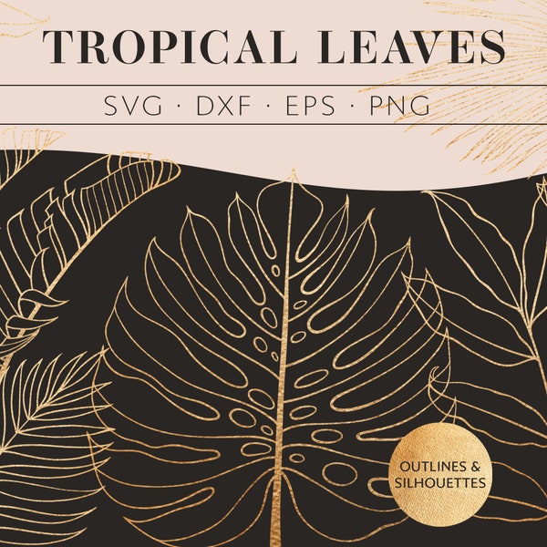 Tropical leaves SVG outline line art silhouette. PNG and vector clipart. Monstera palm leaf banana leaf. Cricut silhouette cutting machines.