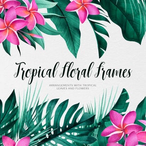 Tropical leaves and flowers frames. Tropical clipart. Exotic greenery border PNG. Palm tree and monstera leaves. Commercial use.
