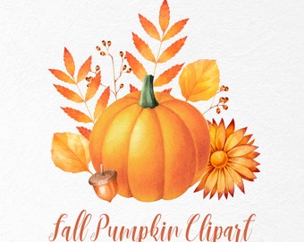 Kürbis und Herbstblätter Clipart. Herbst Gesteck png. Aquarell Herbst Clipart. Aquarell Kürbis PNG. Kommerzielle Nutzung.