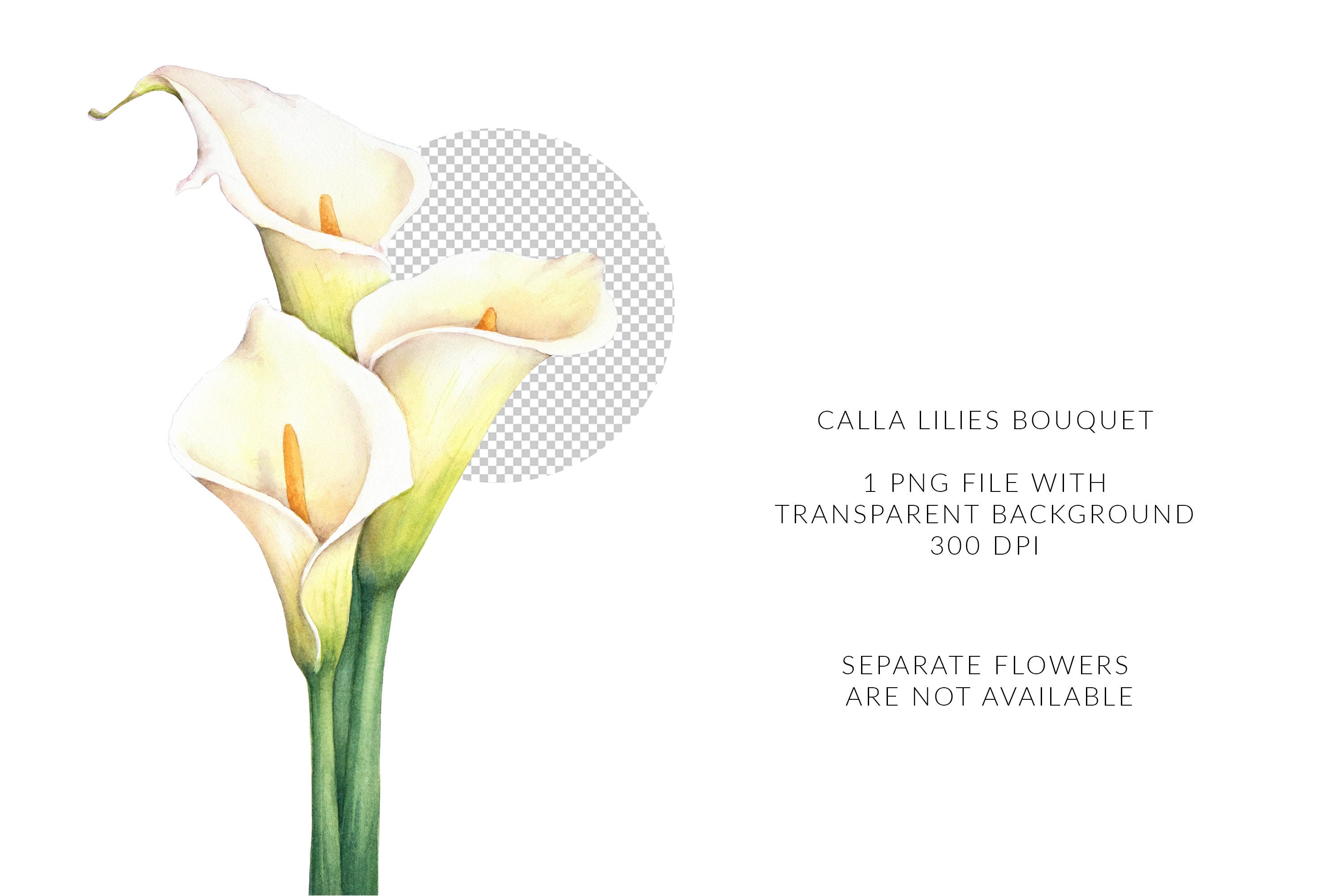 Calla Lilies Clipart. Flower Bouquet. Calla Art PNG. Etsy