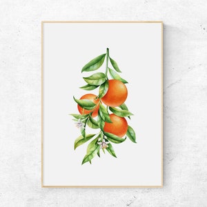 Orange branch print. Oranges wall art. Citrus fruit poster. Botanical decor. Digital download.