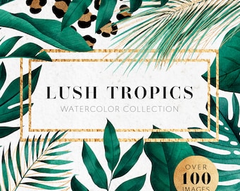 Foglie tropicali dell'acquerello, contorni dorati e pennellate. Clipart tropicale. Piante verdi esotiche PNG. Licenza commerciale.
