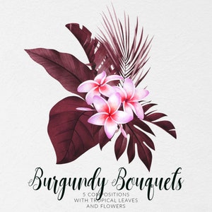 Clipart de plantes et de fleurs tropicales à l'aquarelle. Arrangements exotiques png. Bouquets de feuilles tropicales de Bourgogne.