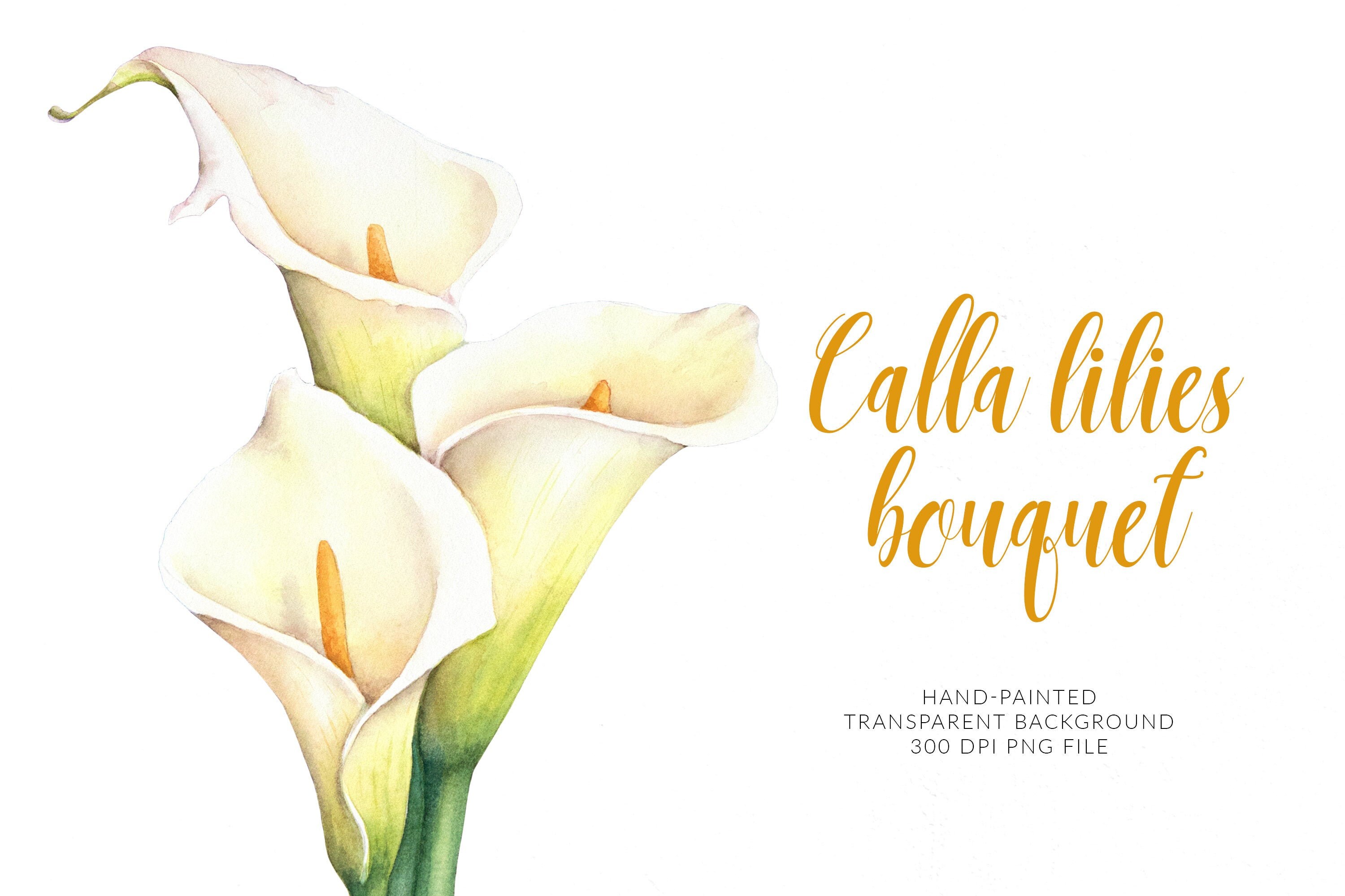 Calla Lilies Clipart. Flower Bouquet. Calla Art PNG. Etsy UK